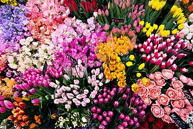 《芭比》曝光“最佳选择”版预告 7月21日上映